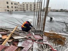 bois pour coffrage dalle beton